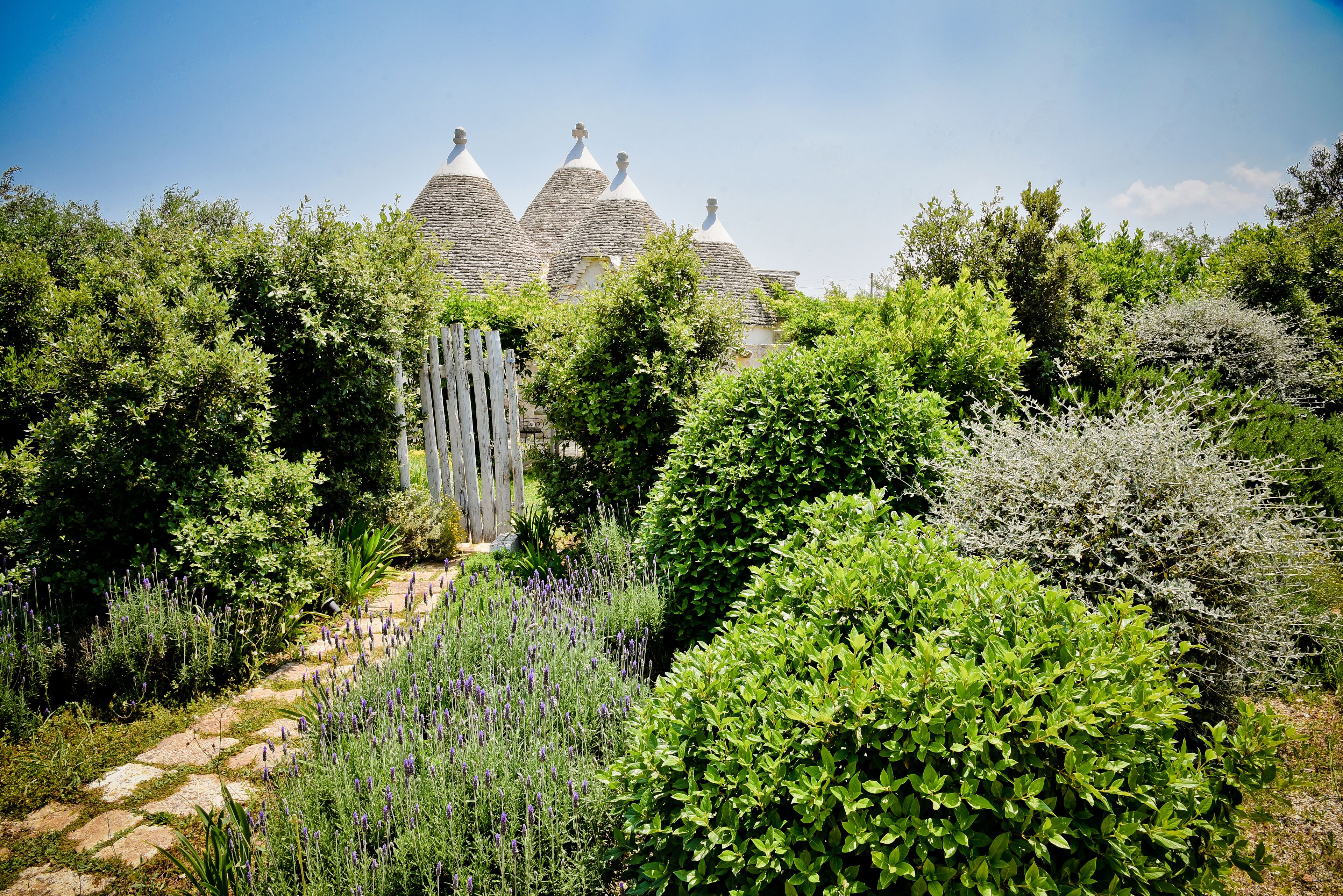 Un jardín con un sendero de piedra que lleva a un edificio con techos cónicos.