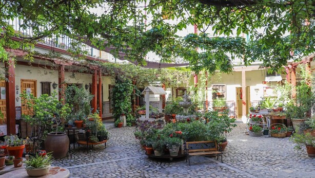 A courtyard with cobblestone flooring, potted plants, and a fountain.