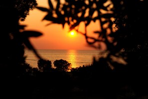 Ein Sonnenuntergang über einem Gewässer, im Vordergrund Silhouette von Bäumen.