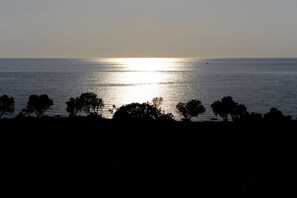 Ein Sonnenuntergang über ruhiger See, im Vordergrund Baumgruppen im Schatten.