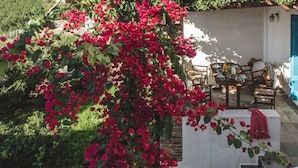 A staircase with red flowers, a white wall, and outdoor furniture. - Andros Maisonettes (Andros)