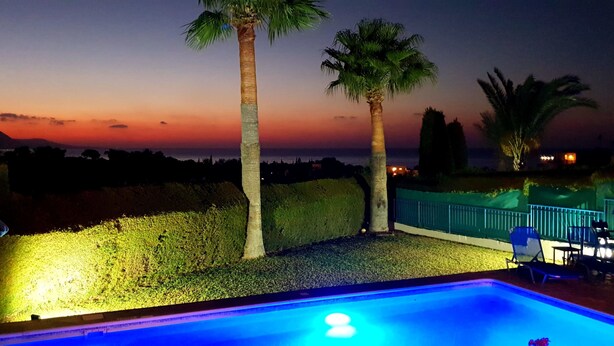 A swimming pool with a blue hue, surrounded by a well-maintained hedge and palm trees.