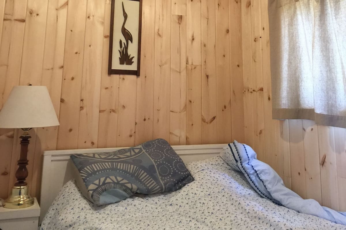 Cabin, 2 Bedrooms, Kitchenette, Lake View | Iron/ironing board