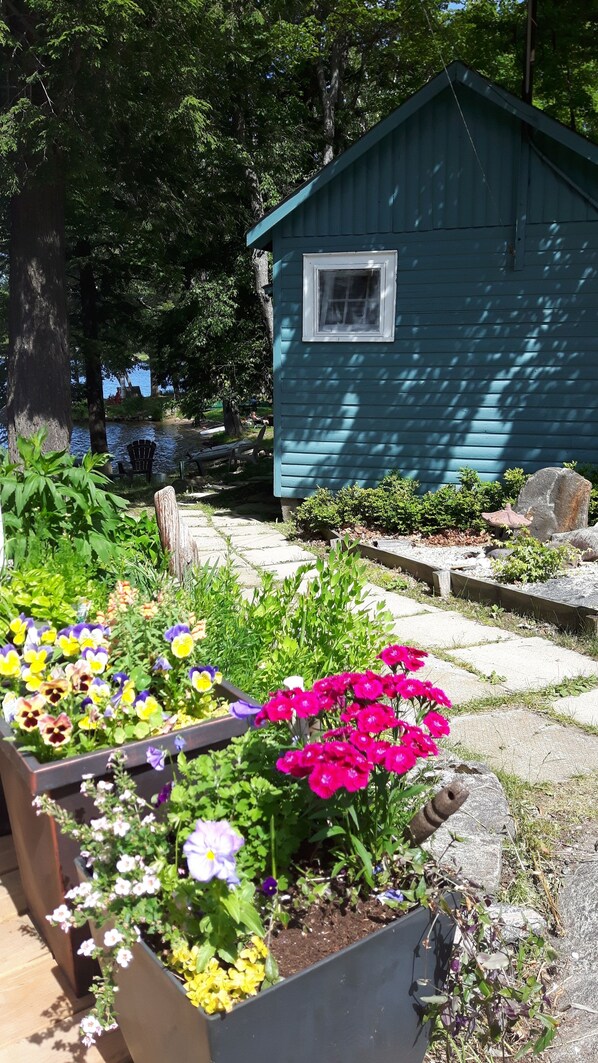 A garden with various flowers and a small shed.