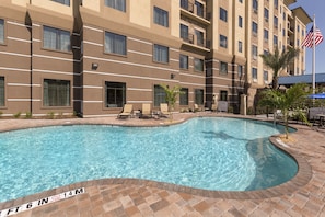 Outdoor pool, pool umbrellas, sun loungers