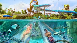 A water park with a large slide, a wave pool, and a tropical setting. - Staybridge Suites Orlando at SeaWorld by IHG (Orlando)