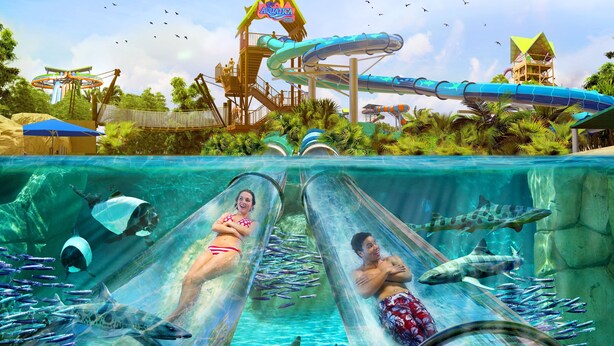 A water park with a large slide, a wave pool, and a tropical setting.