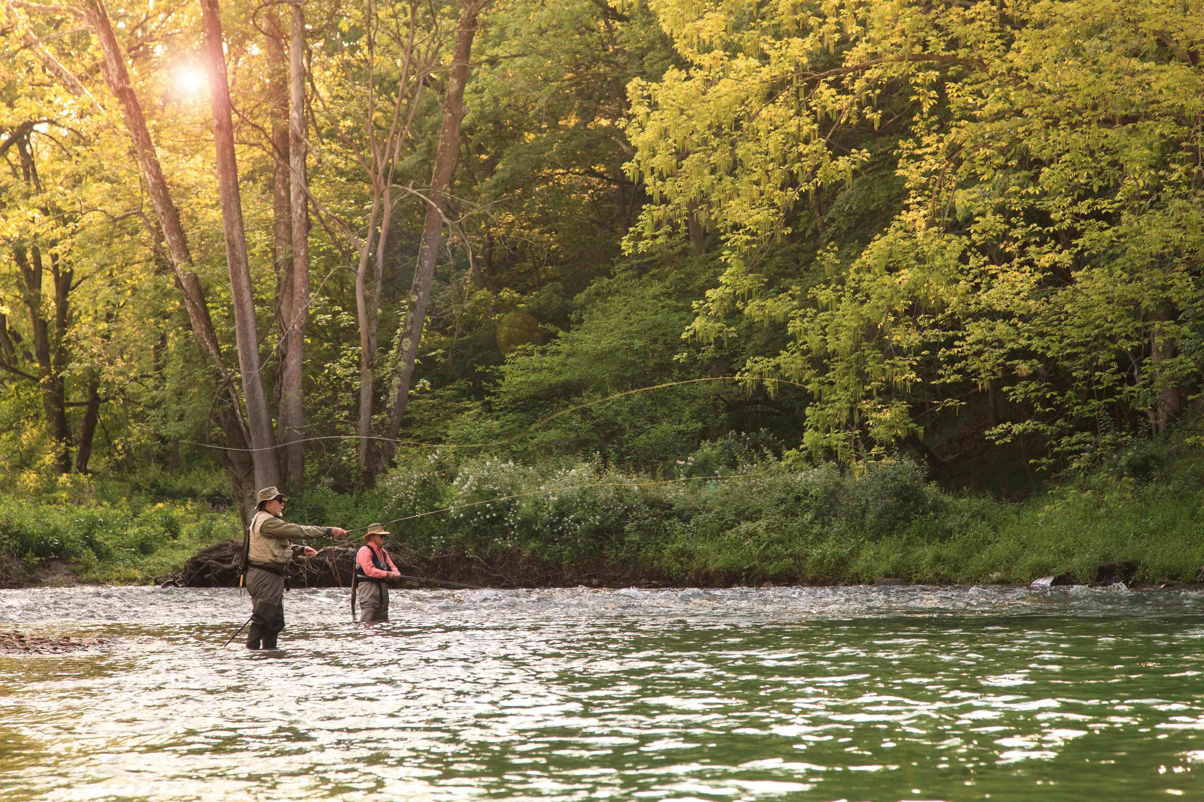 A river with two people fishing, surrounded by dense greenery and trees.