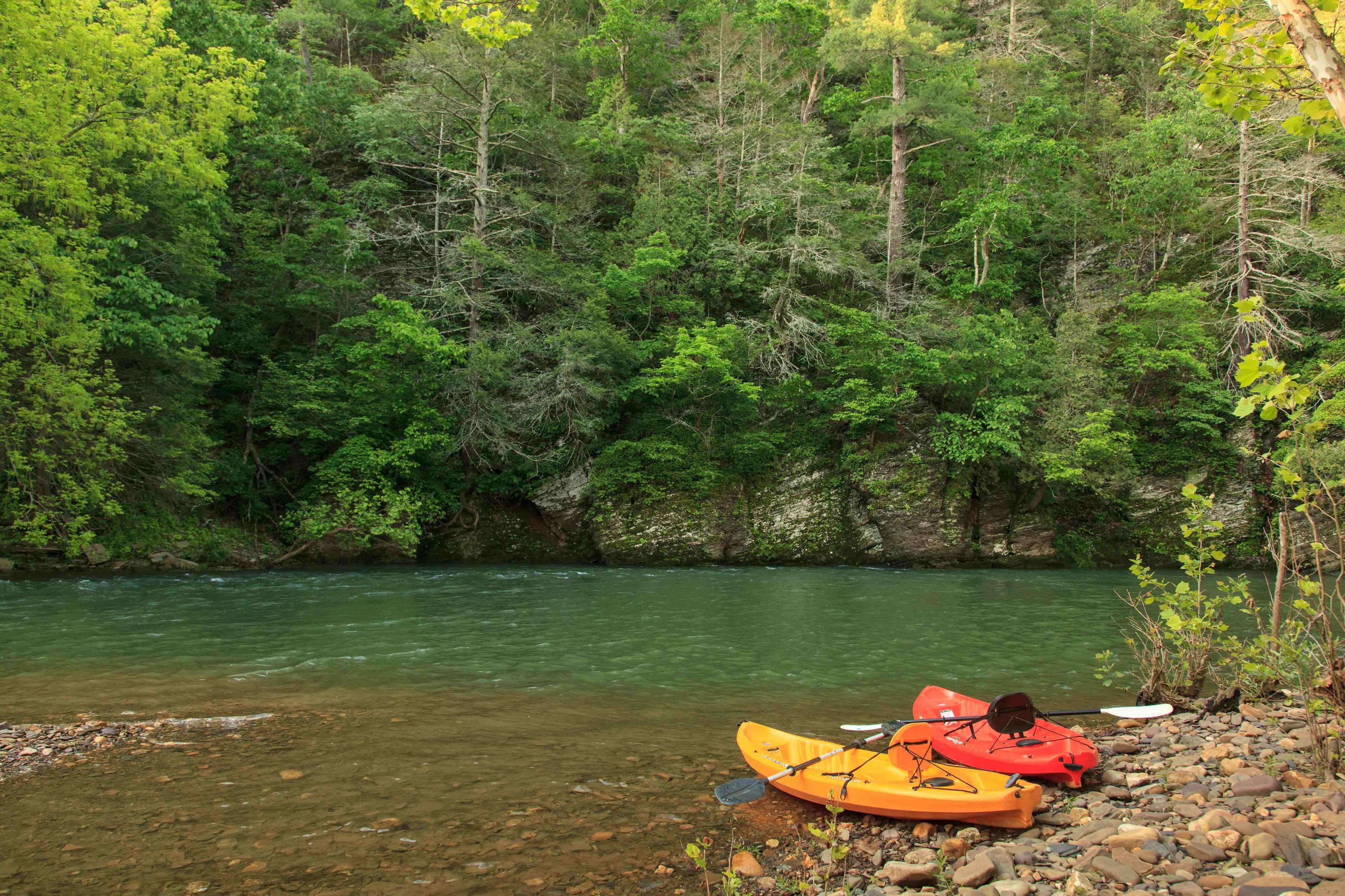 Un kayak naranja de un kayakista sobre la orilla rocosa de un río, rodeado de un bosque verde y frondoso.