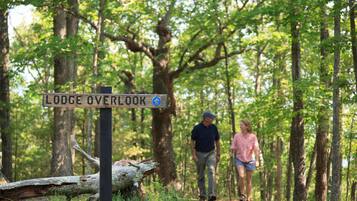 A signpost with 'Lodge Overlook' written on it, surrounded by a forested area with two people walking.