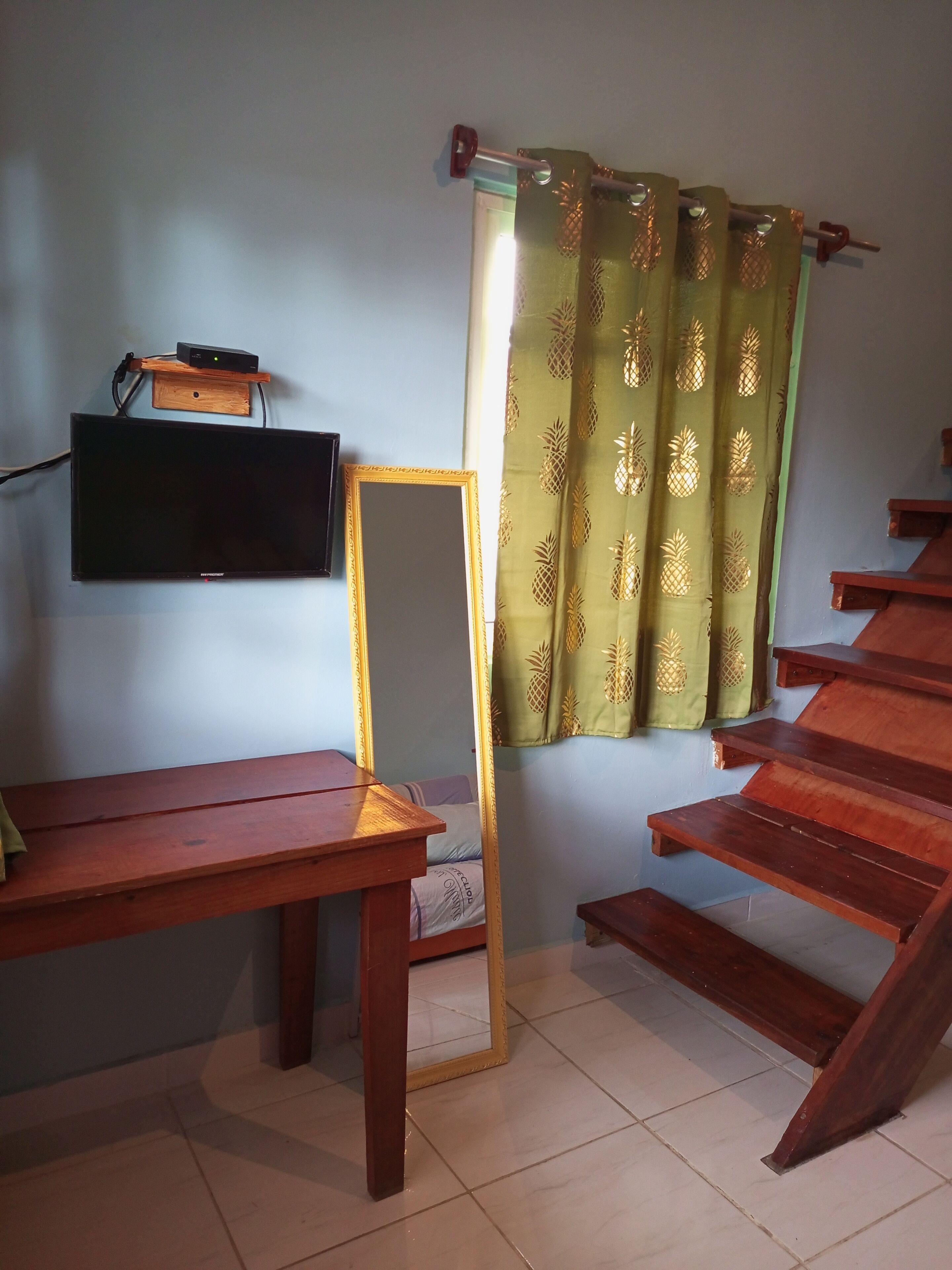 Photo - Surfari Bocas