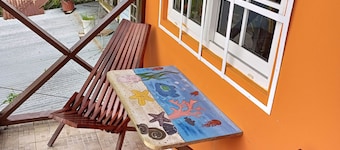 Surfari Bocas