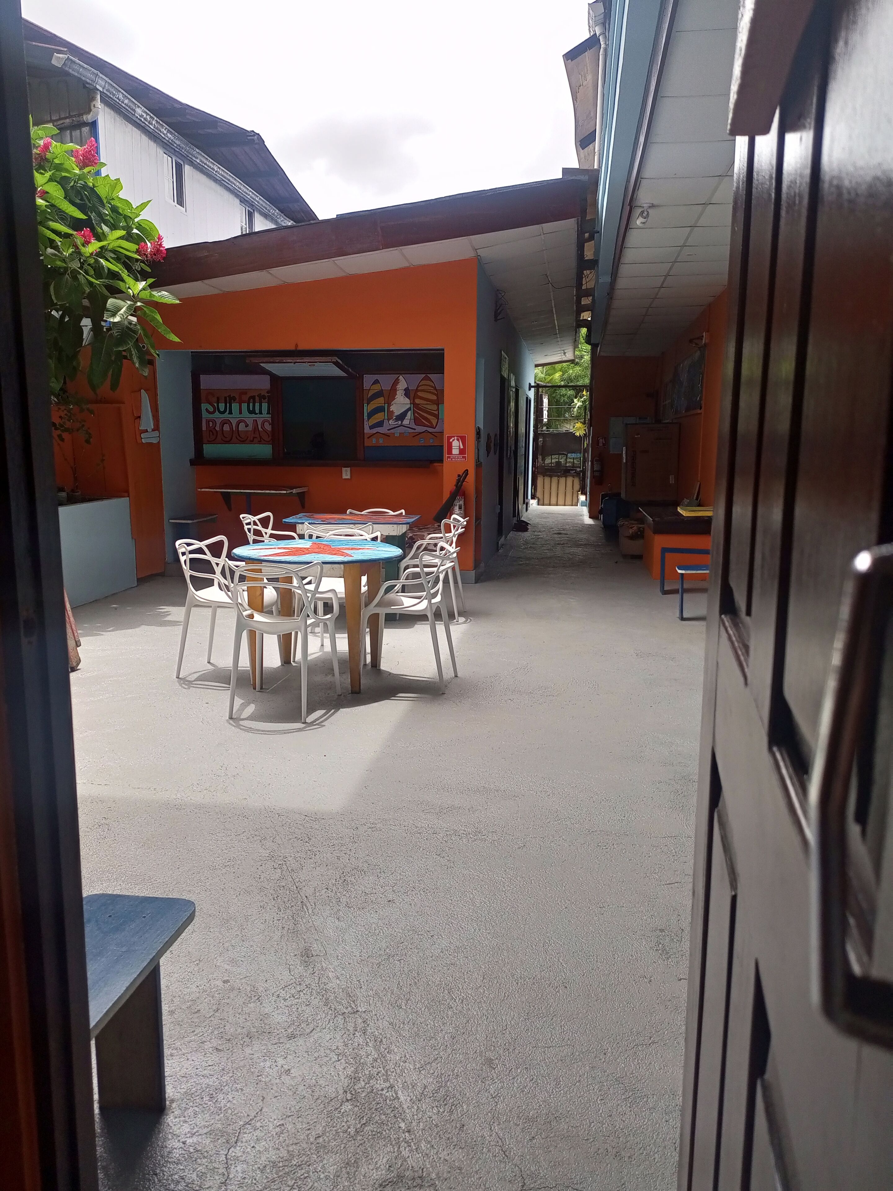 Photo - Surfari Bocas