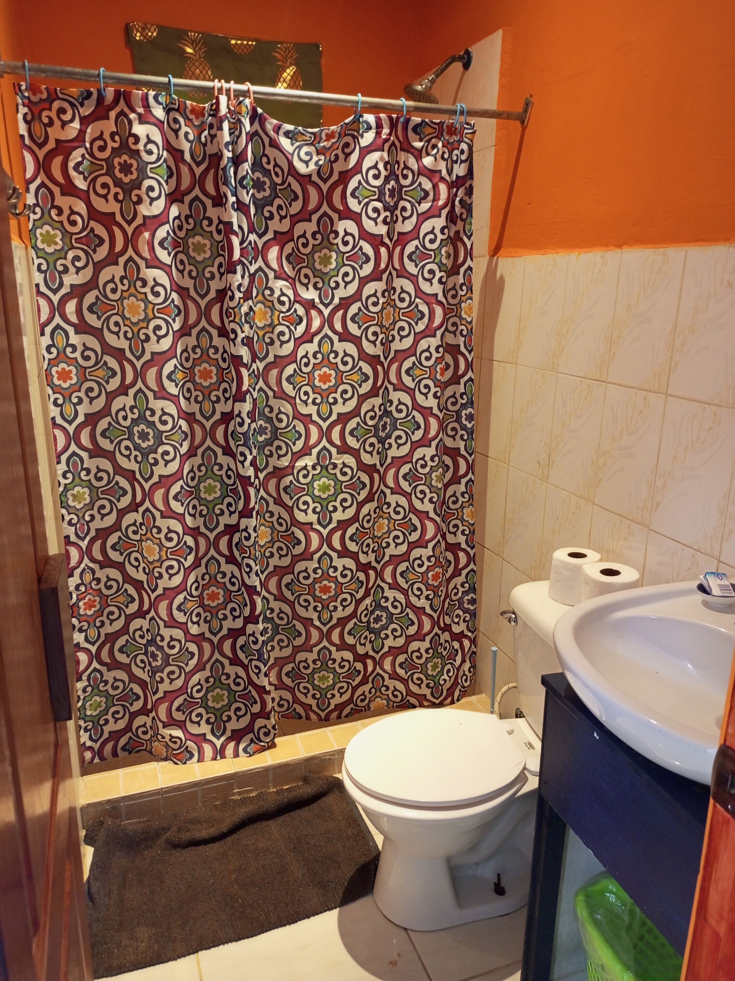 A bathroom with a patterned shower curtain, a toilet, and a sink.