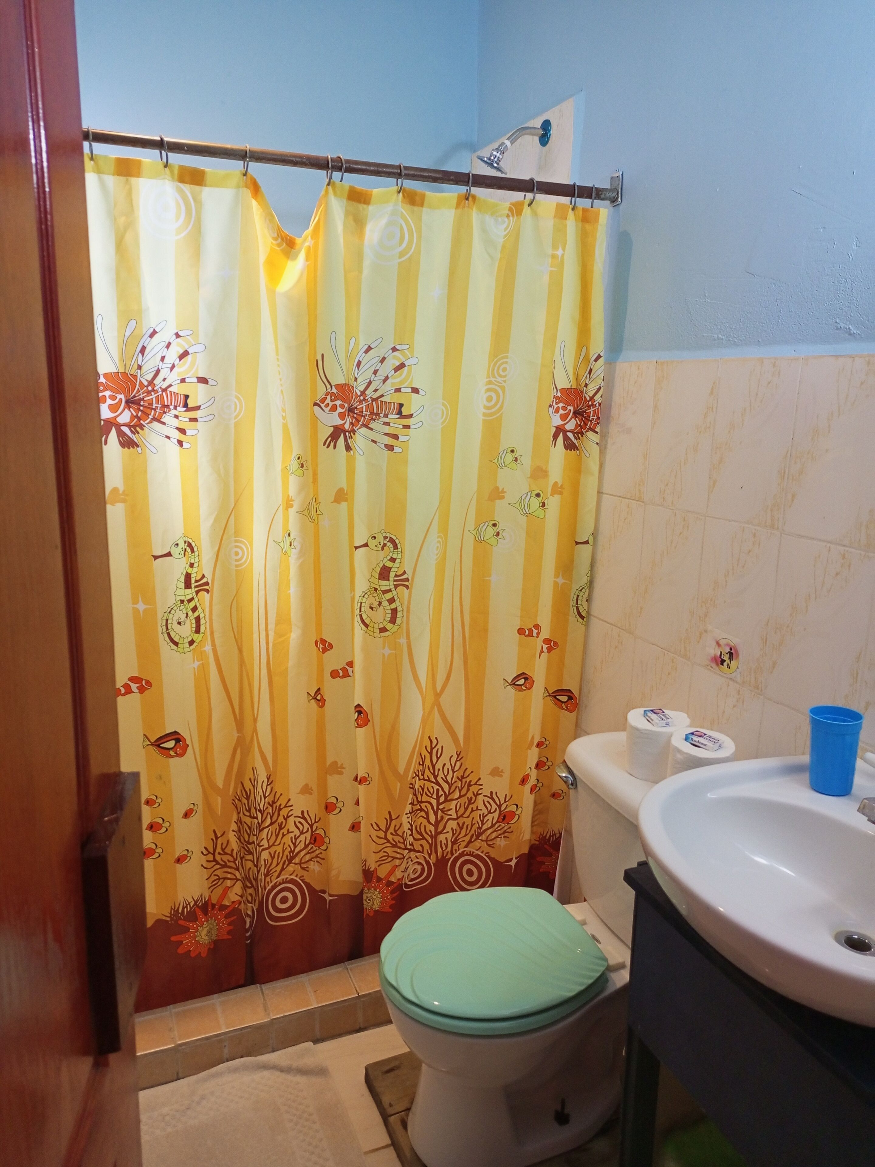 Photo - Surfari Bocas