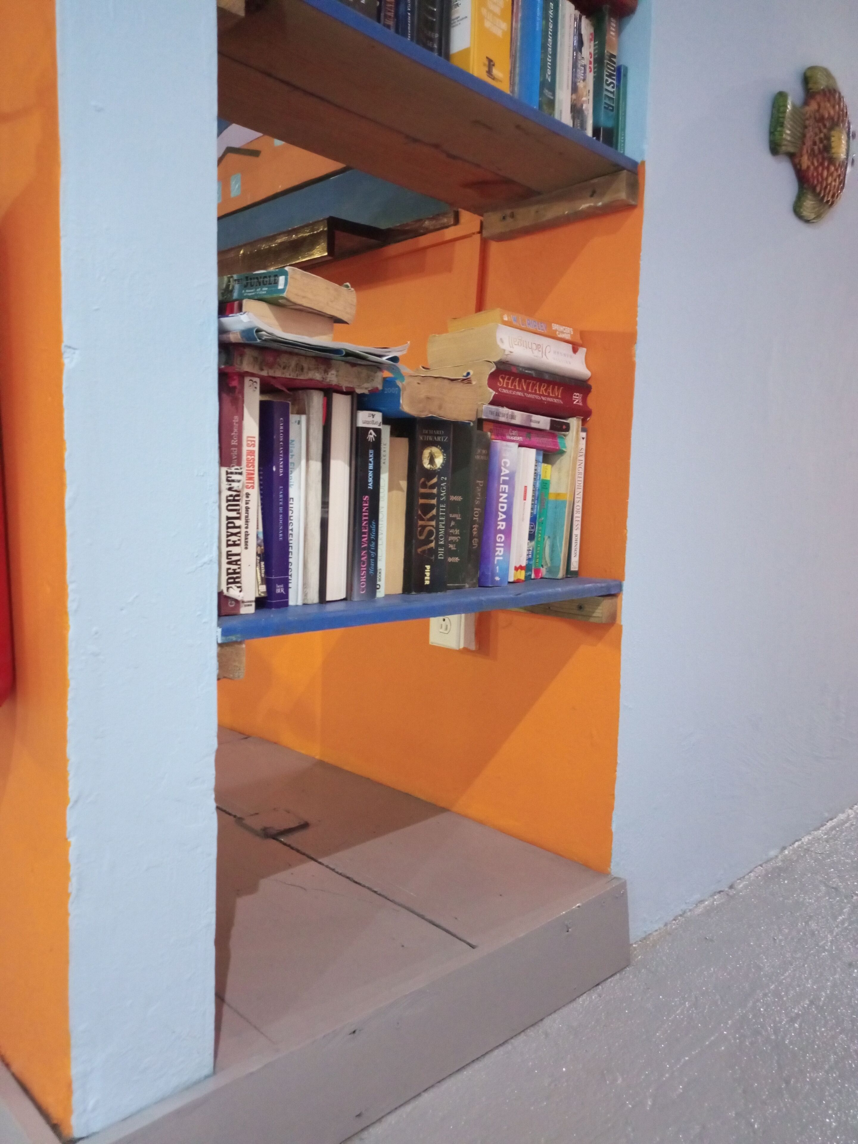 Photo - Surfari Bocas