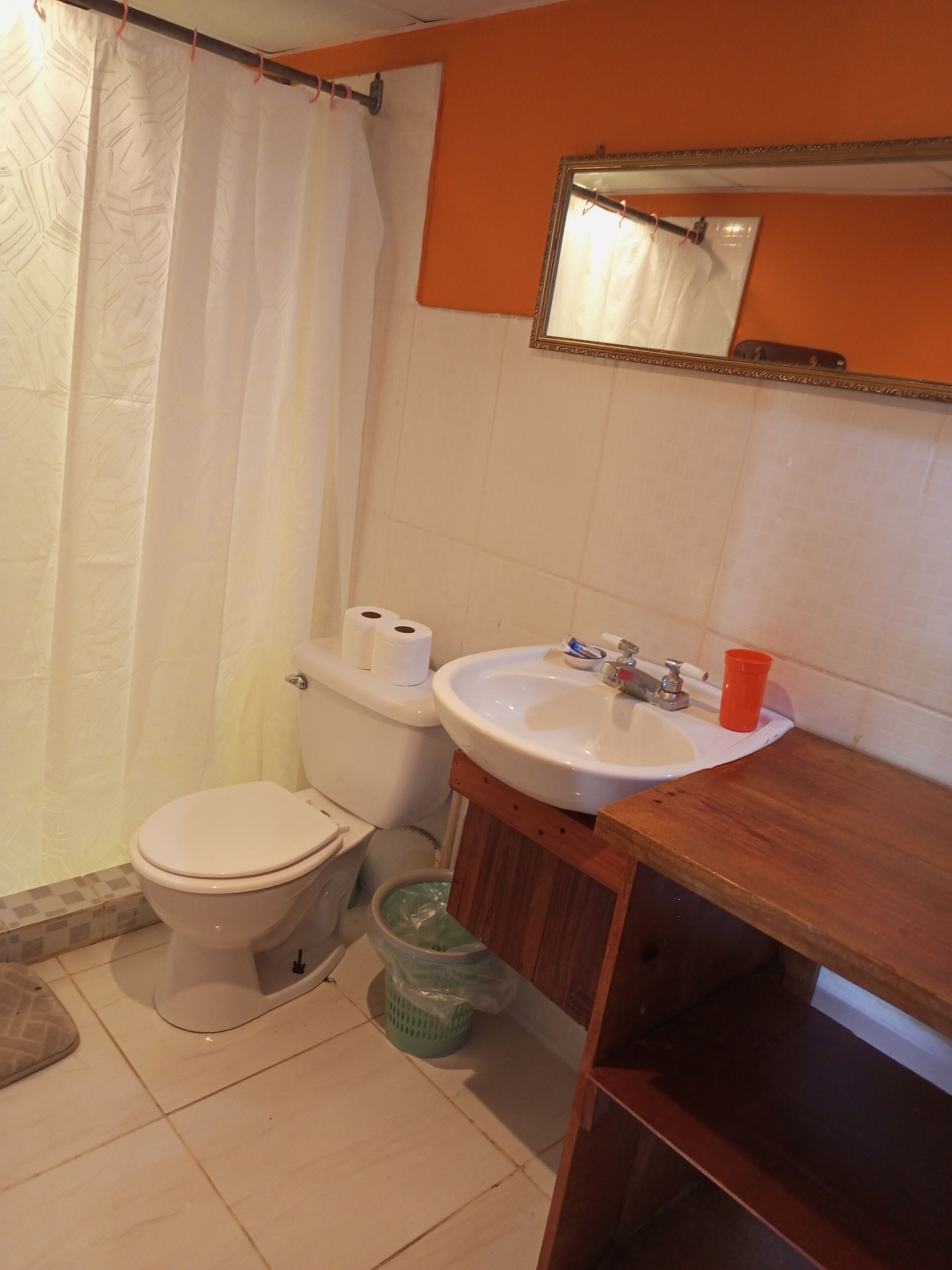 Un bagno con servizi igienici, lavandino e tenda da doccia.