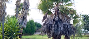 Nispero Country House