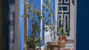 A corridor with blue walls, potted plants, and a door with a geometric design. - Blue Door Housing Historic Quito (Quito)