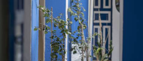Un pasillo con paredes azules, plantas en macetas y una puerta con un diseño geométrico.