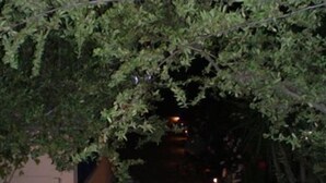 A stone pathway leading to a building entrance, flanked by potted plants and illuminated by ground lights. - Hotel Nostos (Ithaki)