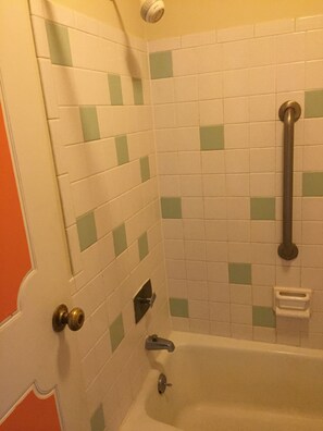 Combined shower/bathtub, free toiletries, hair dryer