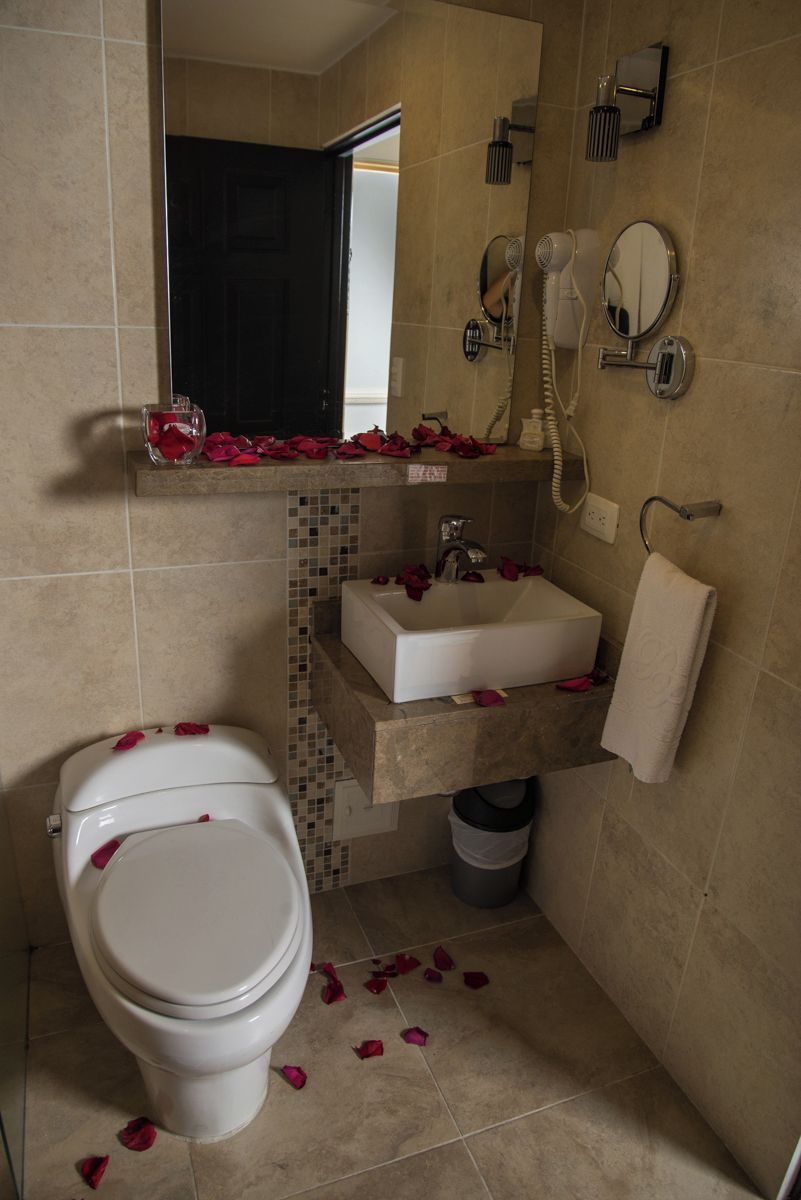 Baño con inodoro, lavamanos y zona de ducha.