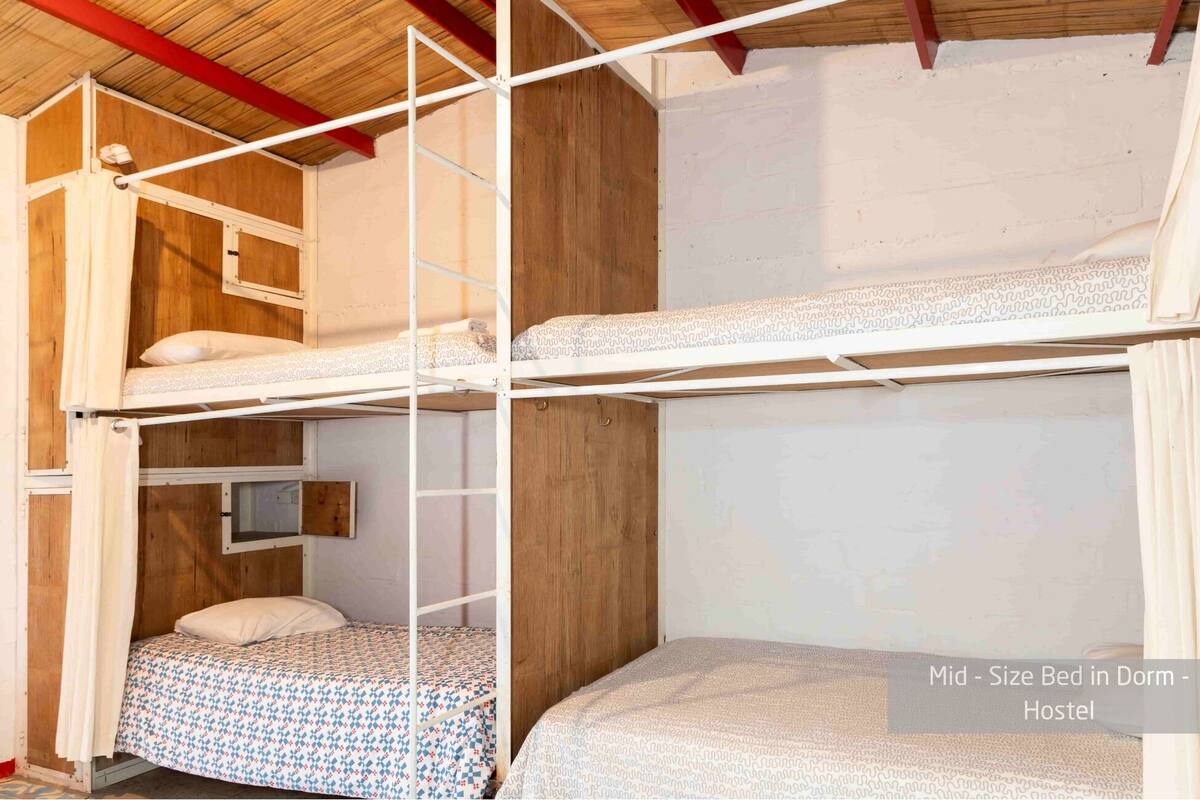 Economy Shared Dormitory, Mixed Dorm, Shared Bathroom, Garden View | Peti besi dalam bilik, dihias secara berasingan