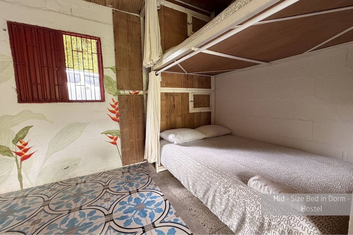 Dormitório compartilhado econômico, em dormitório misto, banheiro compartilhado, vista para o jardim | Roupas de cama premium, cofres nos quartos, individualmente decorados