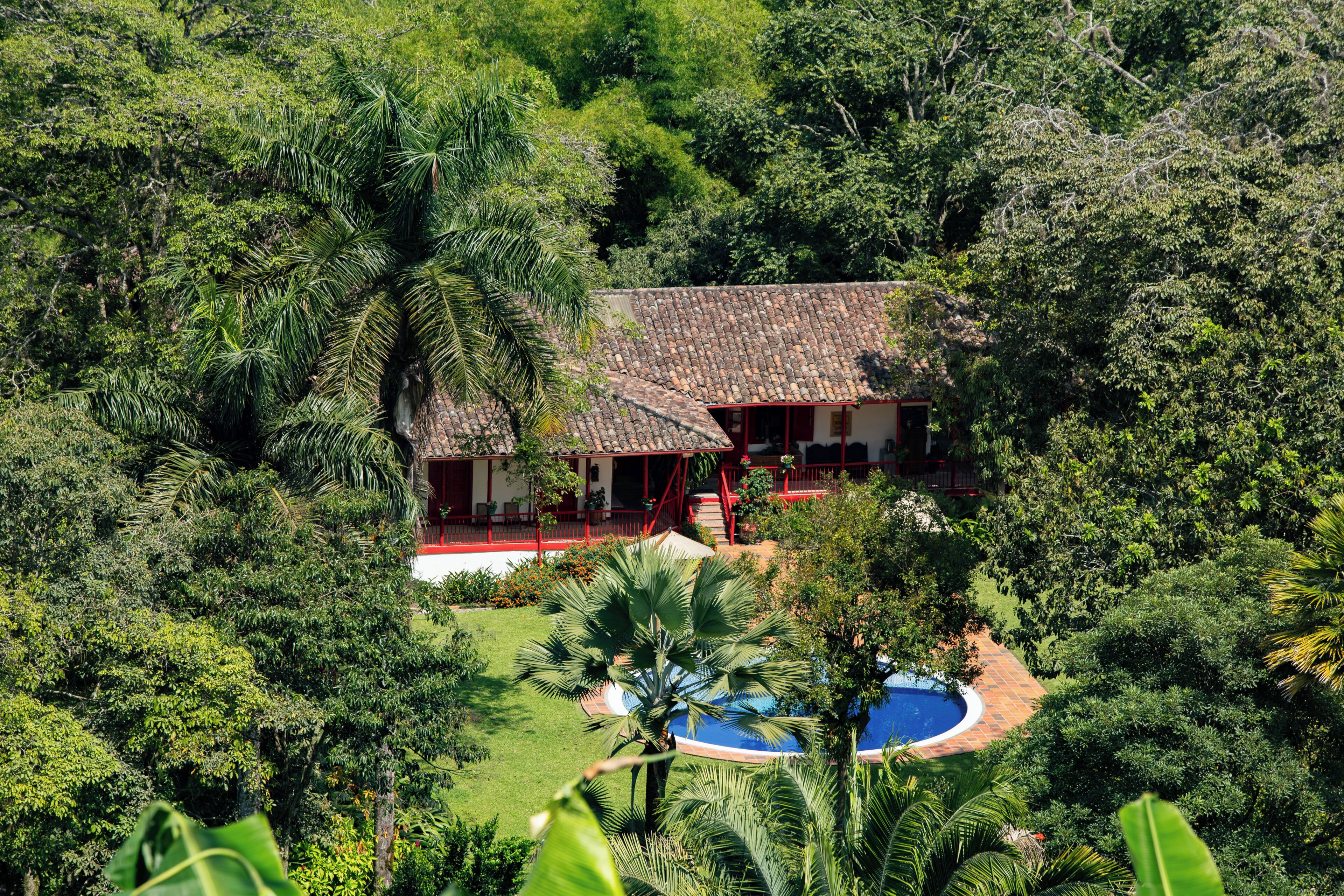 A house surrounded by dense tropical vegetation, with a swimming pool and a red-roofed structure.