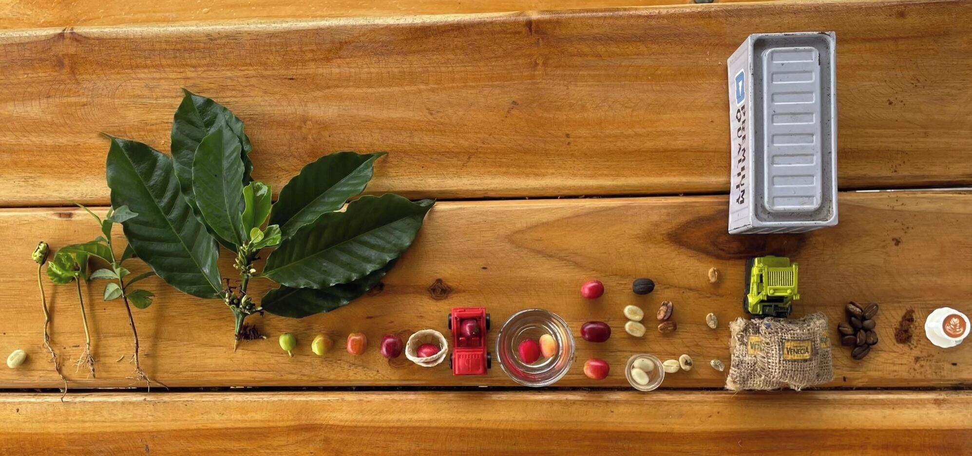 A wooden surface with coffee beans, a coffee grinder, a coffee press, and a coffee cup.