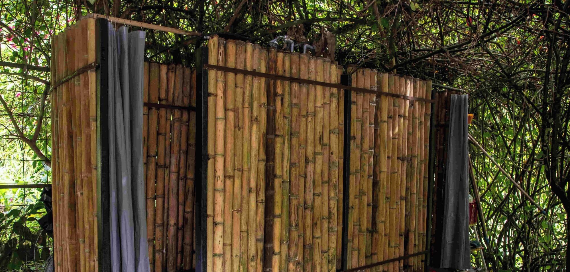 A bamboo fence with a metal gate.