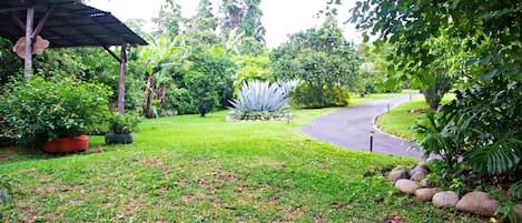 Jardines del alojamiento