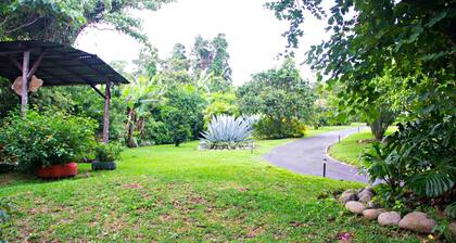 Finca Vibran Bed and Breakfast