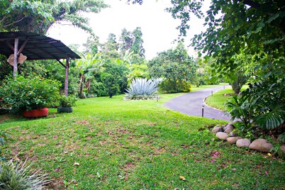 Finca Vibran Bed and Breakfast