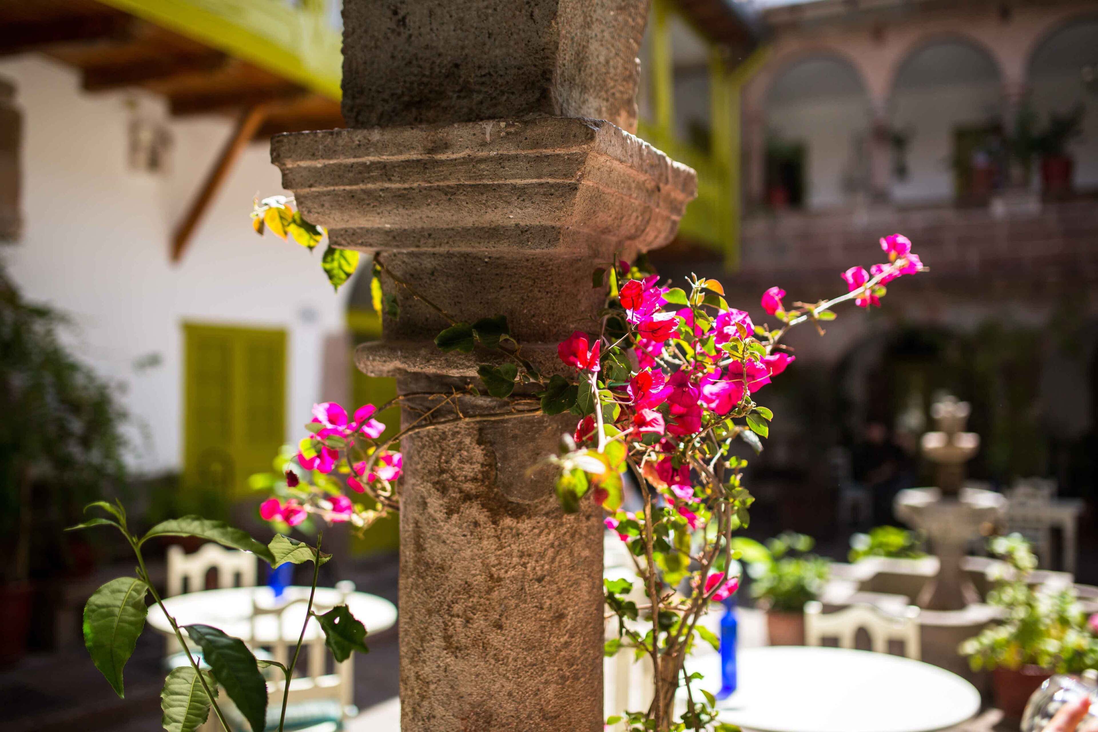 Foto - Niños Hotel Meloc