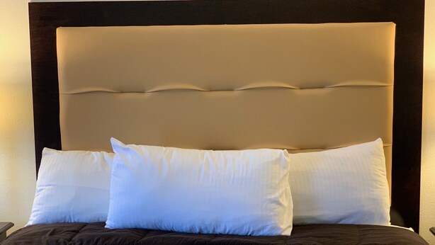 A bed with a dark brown quilt, two white pillows, and a beige upholstered headboard. - Blackwater Inn (Milton)
