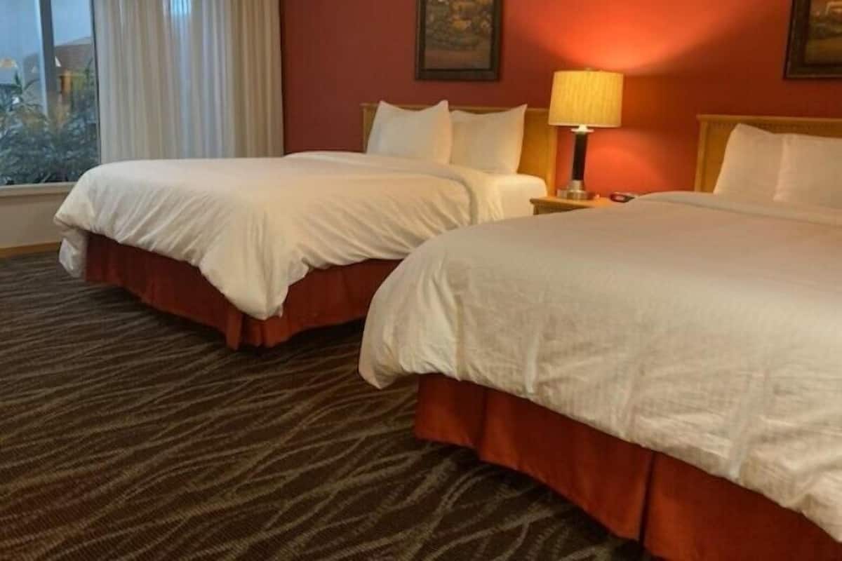 Quarto de hotel com duas camas, janela com cortinas, um quadro na parede e uma luminária na mesinha de cabeceira.