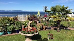 Um jardim com diversas plantas e flores em vasos, um grande cachepot decorativo, e vista para o mar e montanhas ao fundo.