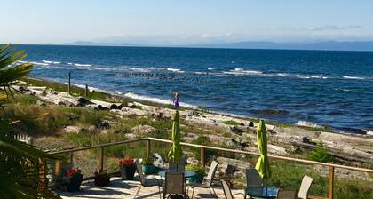 Buena Vista by the Sea