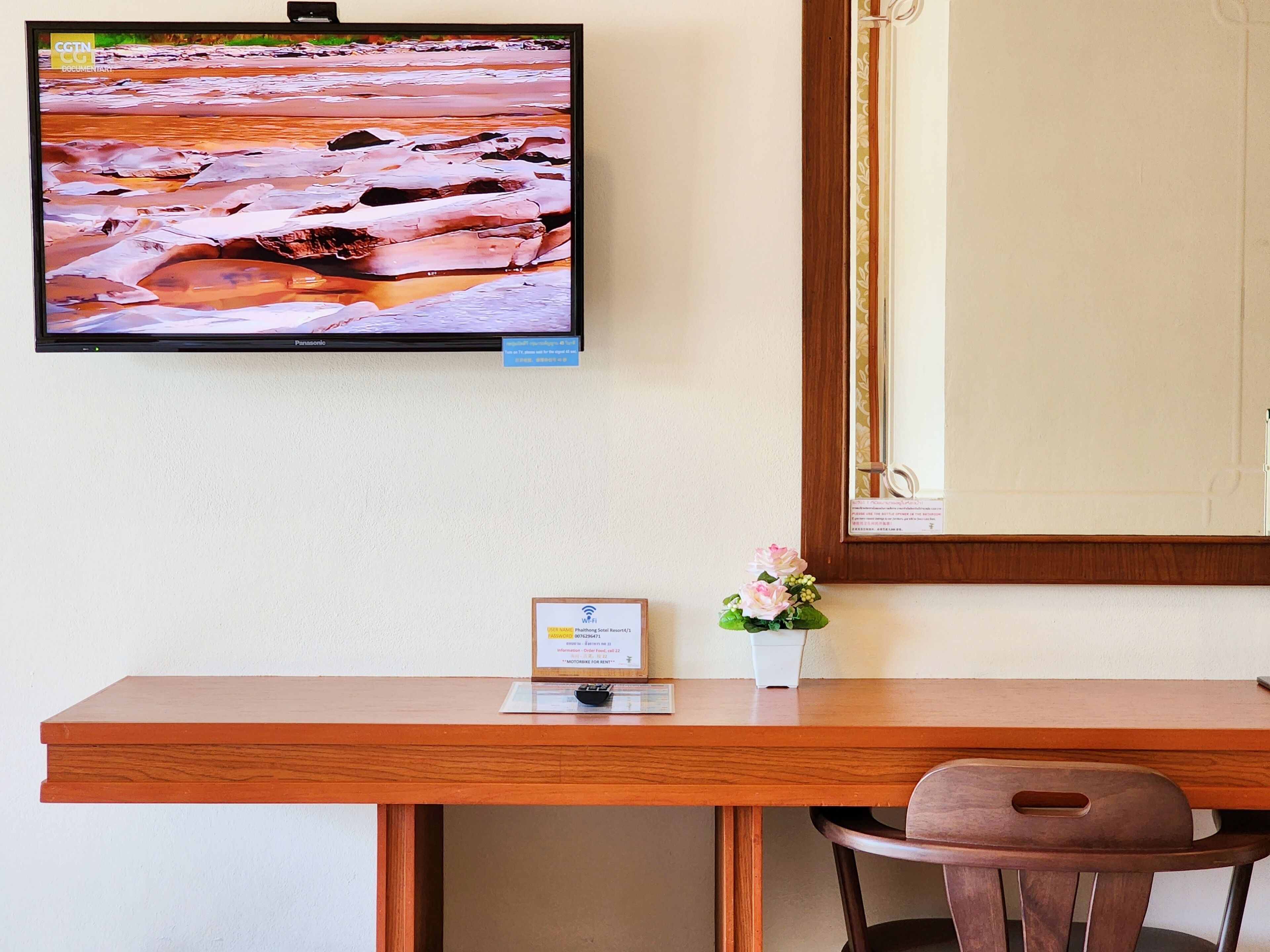 deluxe double room | television