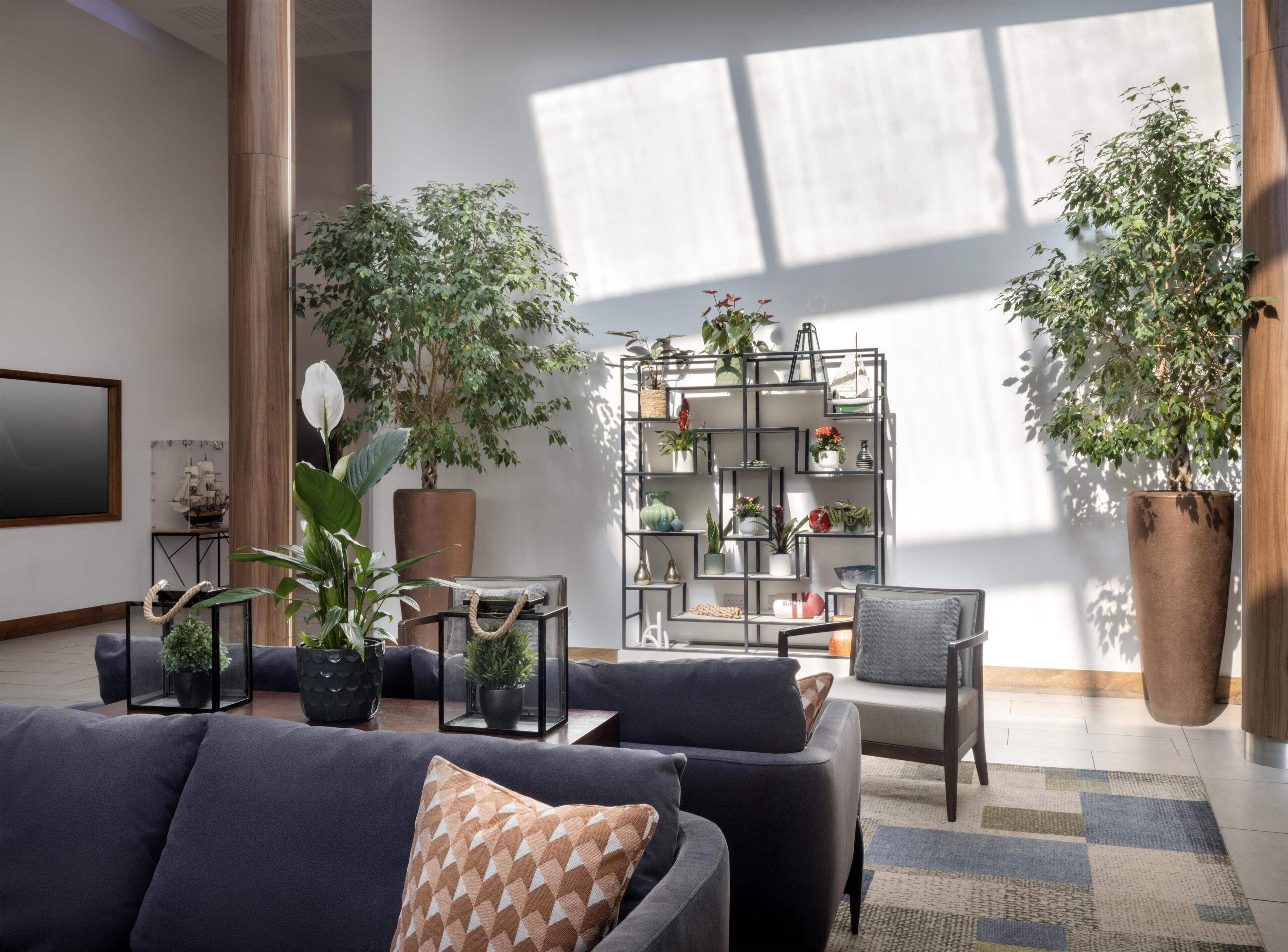 A modern living room with a sofa, a coffee table, and a bookshelf filled with plants.
