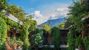 Jardin