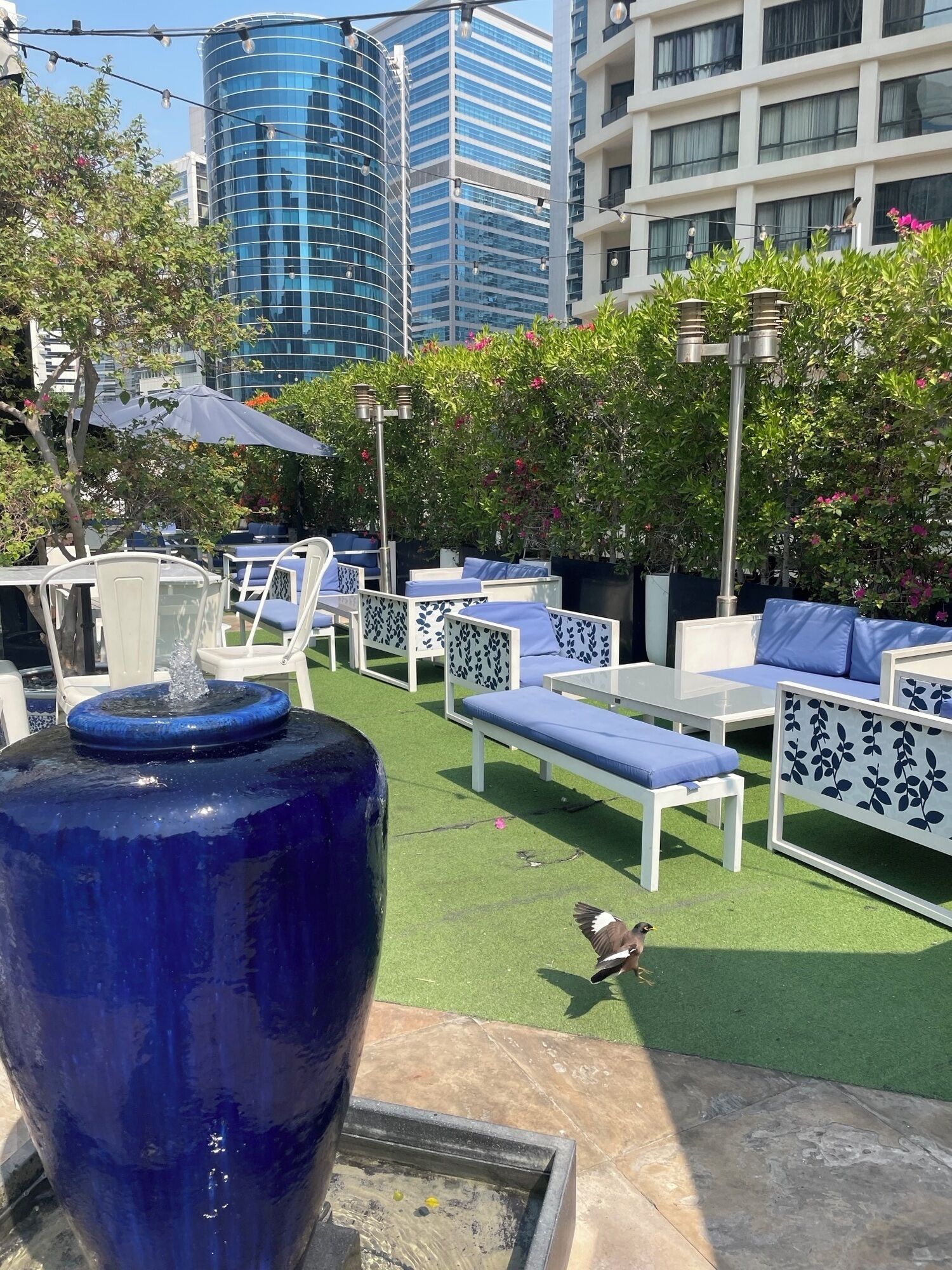 Se ofrece un desayuno bufé (65 AED por persona)