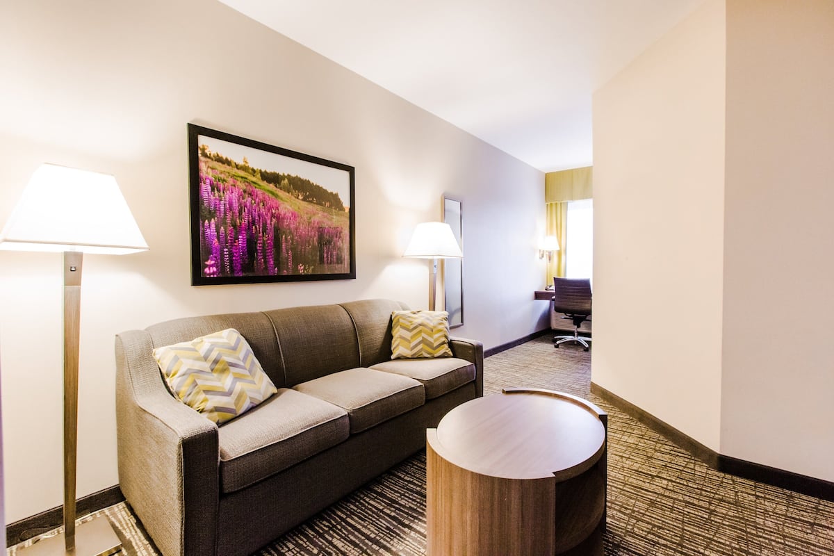 Suite, 1 Bedroom (Walk-In Shower) | 1 bedroom, pillow-top beds, in-room safe, desk