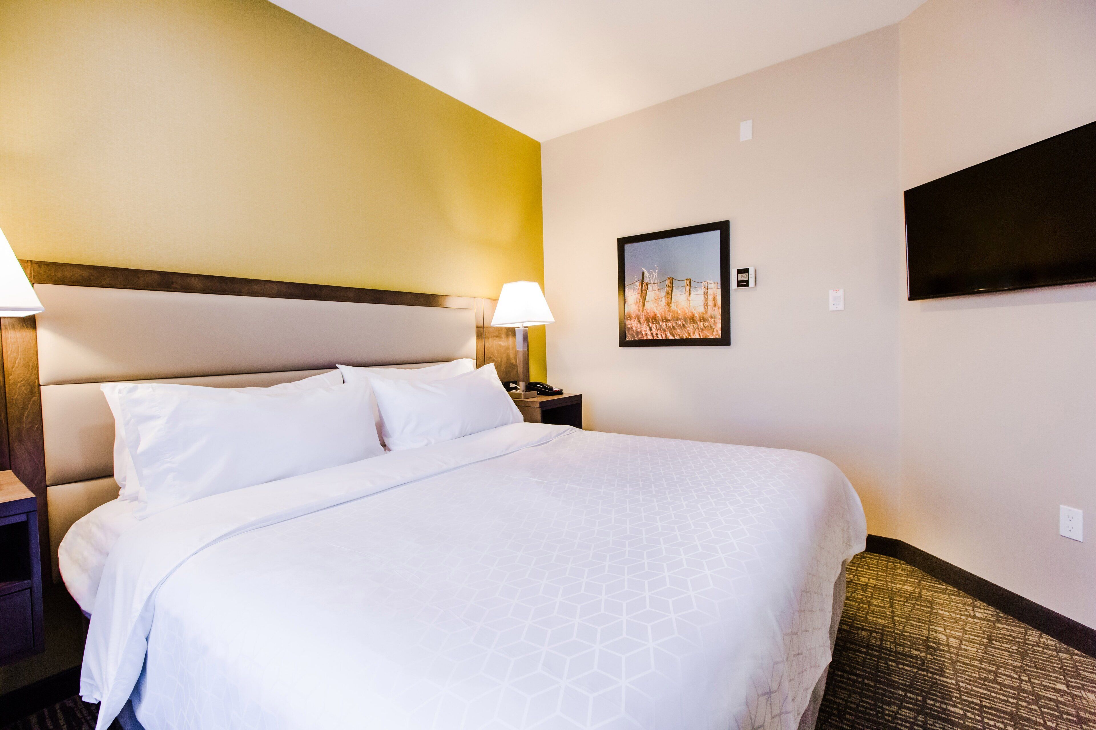 Een hotelkamer met een groot bed, een hoofdeinde, een nachtkastje met een lamp, een flatscreen televisie aan de muur en een ingelijst schilderij.