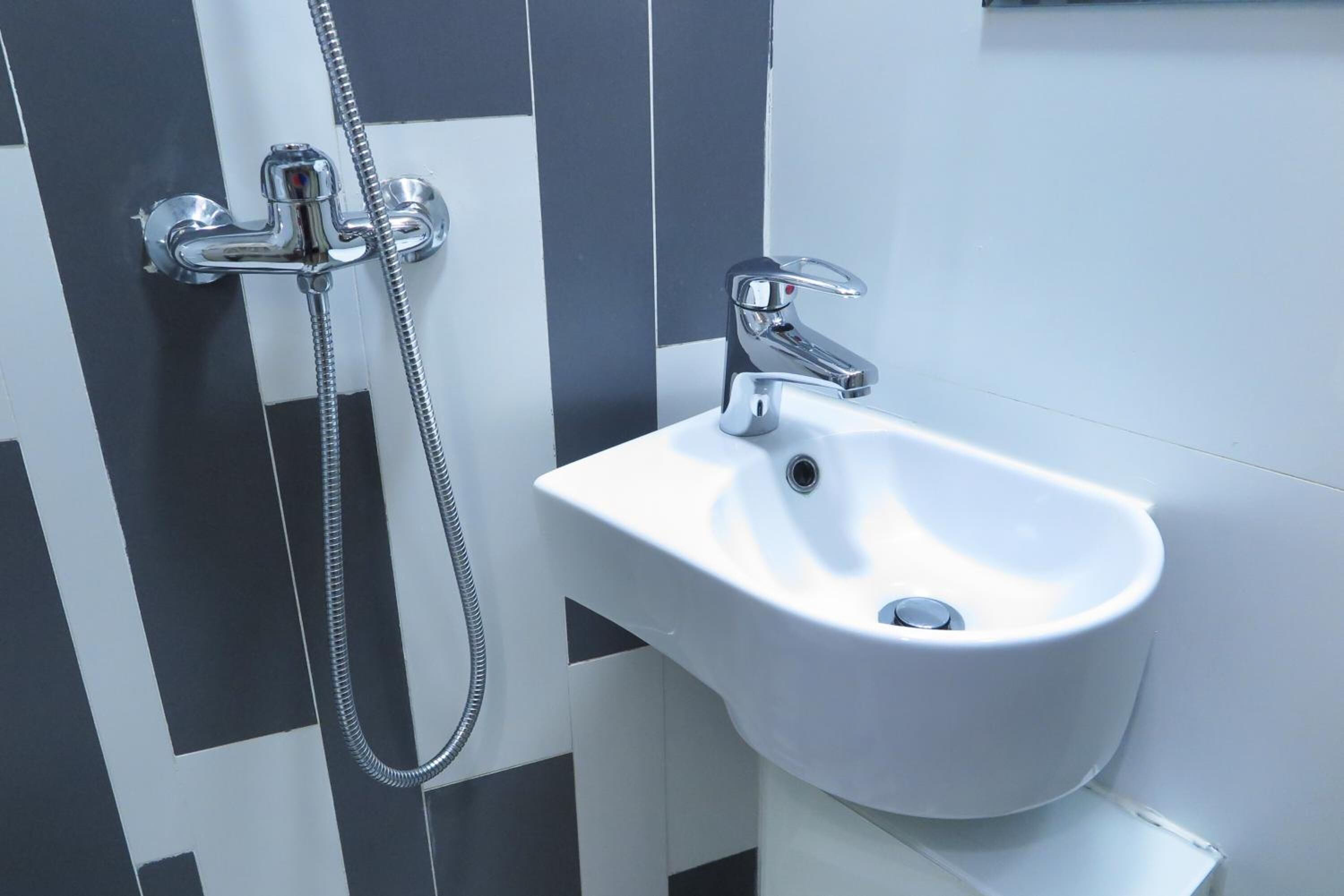 A bathroom with a white sink and a handheld showerhead.