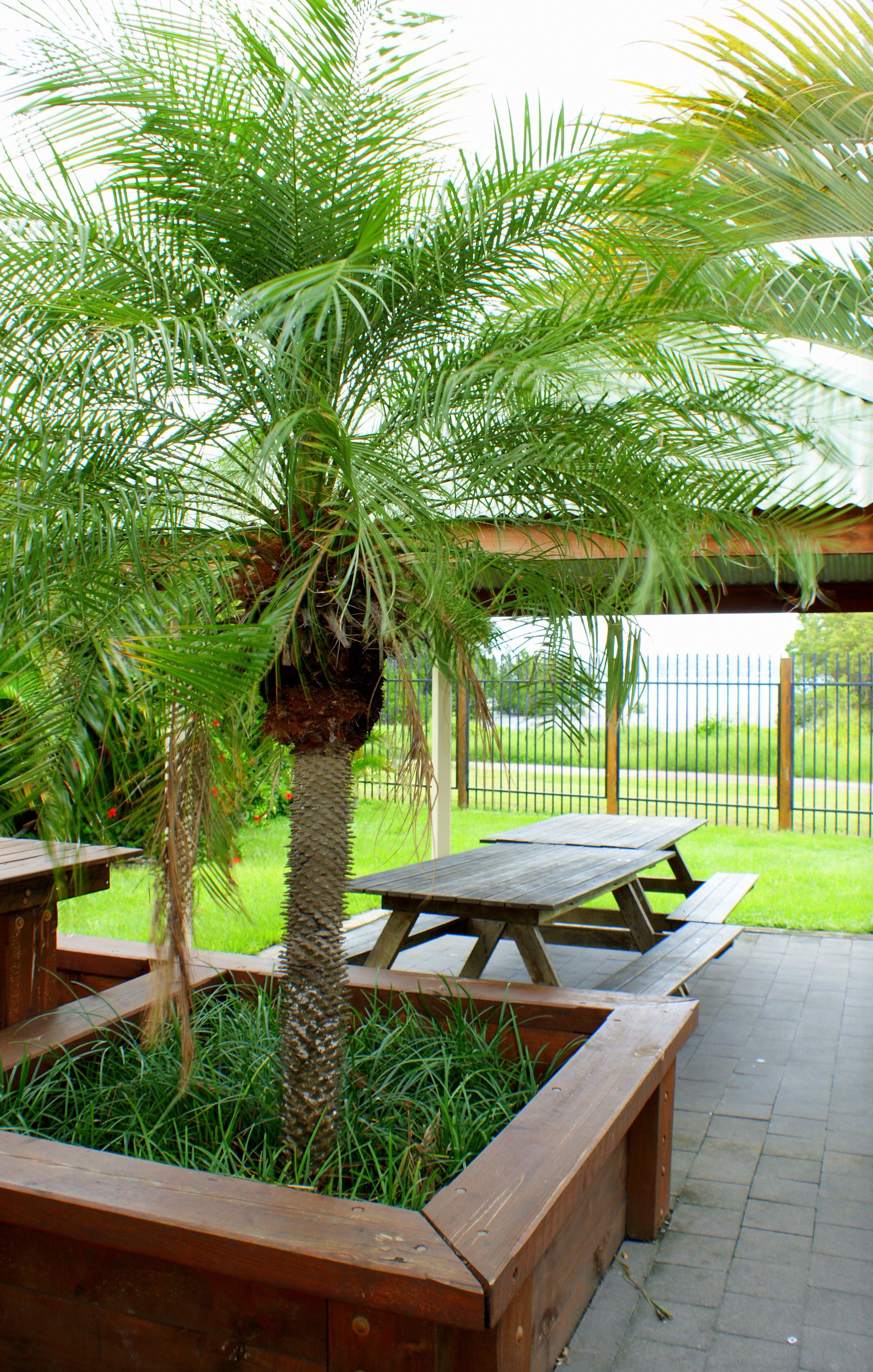 lunch and dinner served