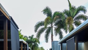 Een pad wordt begrensd door moderne gebouwen met grote ramen, omgeven door weelderig groen en palmbomen.
