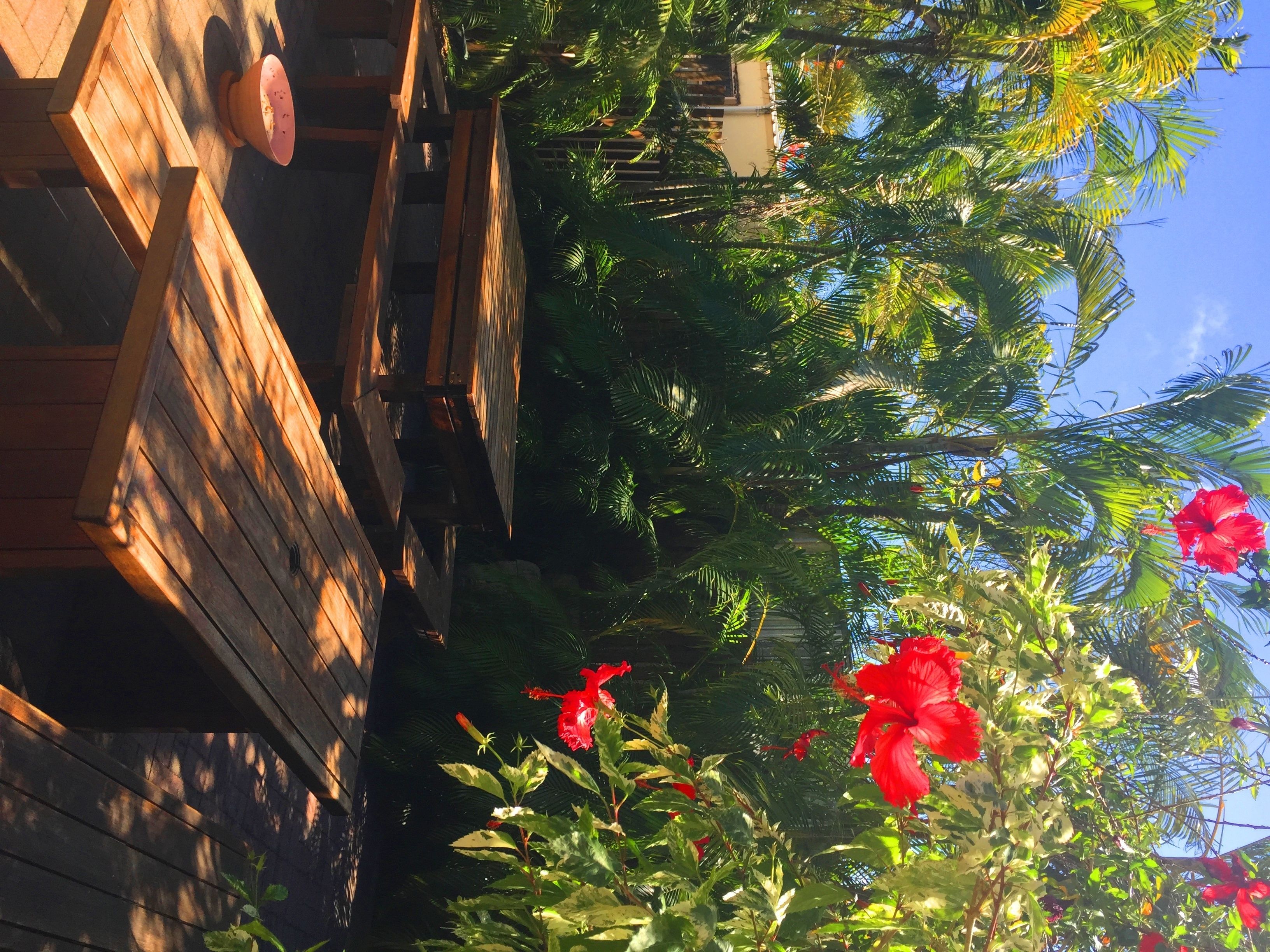 lunch and dinner served